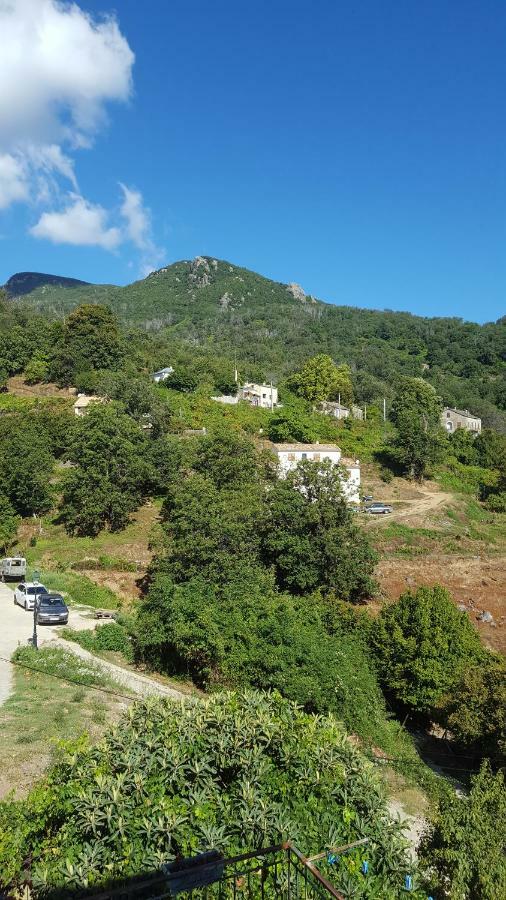 English Club In Corsica B&B Porri Extérieur photo