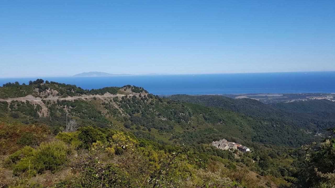 English Club In Corsica B&B Porri Extérieur photo